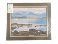 Vintage Enlarged Colour Print of Roundstone Galway Ireland Matted Sealed Flynn picture