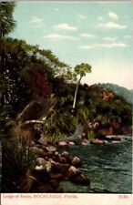Rockledge FL Florida Ledge Of Rocks Palm A C Bosselman Germany Antique Postcard picture