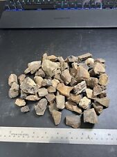 2 Pounds of Triceratops Dinosaur Bone Hell Creek FM Montana (Free Shipping) picture