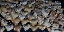 1000PCs SQUALICORAX TOOTH REAL SHARK NECKLACE FOSSIL PENDANT JEWELRY PREHISTORIC picture
