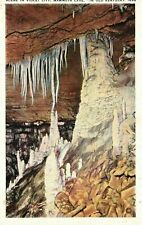 Vintage Postcard Scene in Violet City Mammoth Cave in Old Kentucky picture