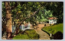 C.1910 THE GEYSERS, SONOMA COUNTY, CA COTTAGES RESORT MAYACAMAS Postcard P41 picture