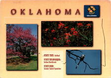 Discover Oklahoma's natural beauty in stunning photos. postcard picture