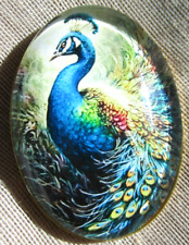 XL GLASS DOME PICTURE BUTTON  -  OVAL BEAUTIFUL PEACOCK BUTTON - 30X40mm picture