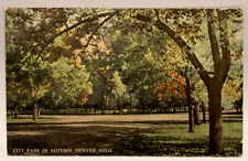 City Park in Autumn, Denver, Colorado CO Vintage Postcard picture