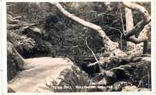 Hollywood RPPC Fern Dell 1940s Unused CA  picture