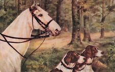Noble Pets Grey White Horse 2 Hunting Dogs Vintage Postcard picture