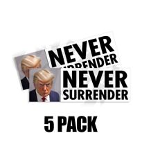 Never Surrender Donald Trump Mug Shot Bumper Sticker Free Trump Decal 5pk picture