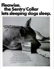 1967 Sergeant's PRINT AD Dog Sentry Flea Collar Great Dane Dog picture
