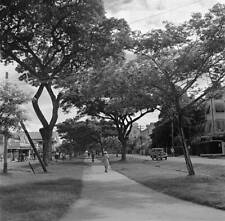 A Promenade As A Women Walks In Georgetown 1946 British Guyana OLD PHOTO picture