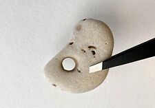 Naturally Holey Beach Rock Hag Stone Fairy Wish Mystical Magical face #20 USA picture