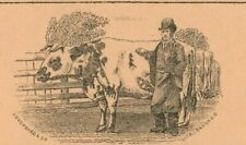 Great 19th c Antique W Stimpson Cowkeeper Dairyman Business Card Sydenham London picture