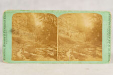 1870's Watkins Havana & Eldridge Glen Catheral Watkins NY Photo Stereoview Card picture