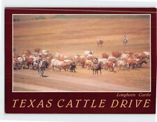Postcard Longhorn Cattle Texas Cattle Drive Texas USA picture