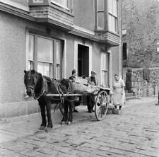 Horse And Cart In St Ives Cornwall 1954 OLD PHOTO 3 picture