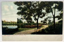 1909 Scene in Long Park, Lancaster PA Pennsylvania Vintage Postcard picture