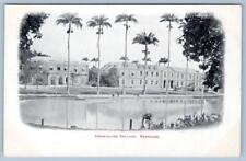 Pre-1907 CODRINGTON COLLEGE BARBADOS PALM TREES ANTIQUE POSTCARD picture