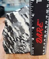 Rough Natural Zebra Stone 2 Pounds 12 Ounces  picture