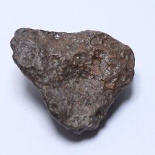 136g Unclassified chondrite, NWA meteorite B2628 picture