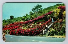 Kealakekua Kona HI-Hawaii Machado Gardens Scenic Floral Hill Vintage Postcard picture