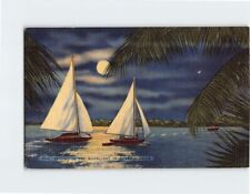 Postcard Sailing in the Moonlight in Florida USA picture