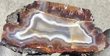 12.7 Oz Polished Moroccan Floater Agate Half Nodule Display Piece picture