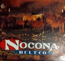 Framed Silver Tone Nocona Belt Buckle Western Cowboy Riding Bucking Bronco  picture