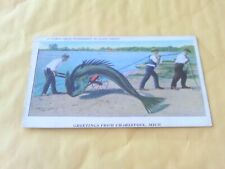 RARE 1927 EXAGGERATION POSTCARD FISHERMAN FISHING HUGE FISH CHARLEVOIX MICHIGAN picture