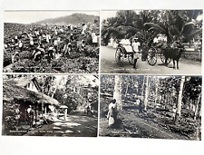 4 Vtg Ceylon RPPC Postcards Rubber Tapping, Plucking Tea Rickshaw Village Scene picture