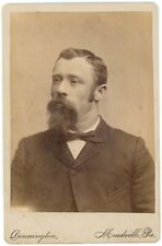 CIRCA 1880'S CABINET CARD Rugged Man Long Goatee Suit Dennington Meadville, PA picture