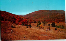 Fall Scene Potomac Highland of West Virginia postcard. picture