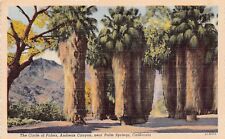 Palm Springs CA California Andreas Canyon Agua Caliente Reservation Postcard B36 picture