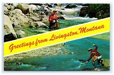 Greetings from Livingston Montana MT Fly Fishing Fisherman Trout C11 picture