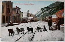 Skagway Alaska Dog Sled, Street Scene, Hotel, Hardware Store, c1909 Postcard C5 picture