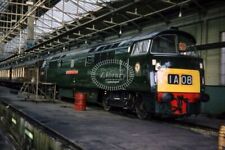 PHOTO British Railways Diesel loco D1002 Western Explorer Old Oak Common 1962 picture