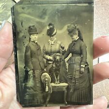 RARE 1890's antique Tintype Photo Photograph 3 Women Witches Witchcraft & Dog picture