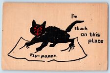 Heron Lake Minnesota MN Postcard Black Cat Got Stuck On Fly Paper c1910's Posted picture