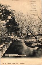 Walton NY East Brook at Benton Avenue Divided Postcard c1911 picture