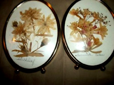 1960s DRIED FLOWERS PICTURES CONVEX GLASS OVAL FOOTED HANDMADE MID CENTURY PAIR picture