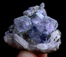22g Newly DISCOVERED RARE CUBE PURPLE FLUORITE MINERAL SAMPLES/ YaoGang  Xian picture