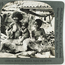Indigenous New Guinea Family Stereoview 1920s Native People Pig Hut Woman E861 picture