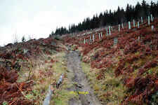 Photo 6x4 Mountain bikers' bridleway, Hamsterley Forest Black Hill As a p c2021 picture