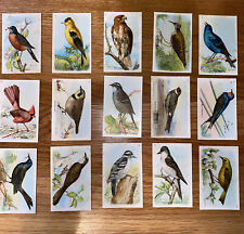 Useful Birds of America 5th series complete 15 Vintage Card Set Church & Dwight picture