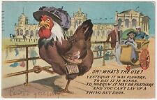 Vintage Postcard Chicken Humor Comic Posted 1909 picture