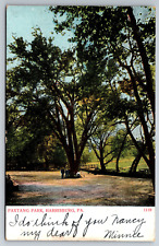 Vintage Postcard PA Harrisburg Paxtang Park c1906-2213 picture