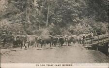 1910 OX LOG TEAM,CAMP MEEKER Sonoma County California Town Talk Press Postcard picture