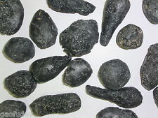 Black Indochinite Tektite Stone 15 to 50 gram Size Pieces 0.1 Kg Lot picture