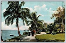 Palm Beach, Florida FL - Lake Front Drive - Vintage Postcard - Unposted picture