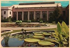 Postcard Longwood Gardens Large Leaved Waterlilies Kennett Square Pennsylvania picture