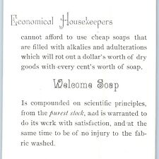 c1880s Economical Housekeepers use Welcome Laundry Soap Trade Card Birds C34 picture
